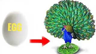 peacock Making using egg shell at home🤑🤑🤑
