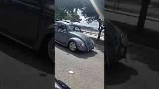 Busters oval window VW Bug