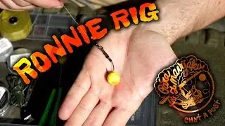 Ronnie Rig - velmi oblíbená a úspěšná Pop-Up montáž