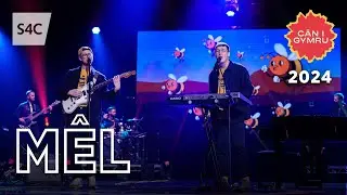 Mêl - Owain Huw a Llewelyn Hopwood | Cân i Gymru 2024 | CIG 2024