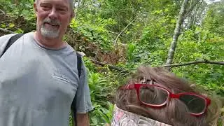 Clinton TN to Damascus