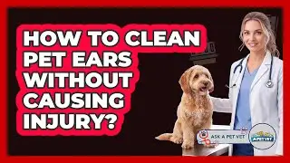 How To Clean Pet Ears Without Causing Injury?