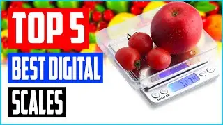 Discover The 5 Best Digital Scales  01 Gram Accuracy &mdash; 2021 Product Reviews