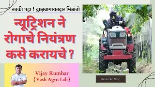 नुट्रीशन ने रोगाचे नियंत्रण कसे करायचे? How to control disease with nutrition | Grapes Master