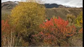 Sounds of a Mountain River: Music for Relaxation