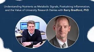 Dairy Digressions S3 Ep29 | Nutrients as Signals & Postcalving Inflammation w/ Barry Bradford, PhD
