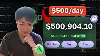 How I Make $500/day Tracking Memecoin Wallets (Full Guide)