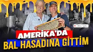 Amerika'da BALCILIK ve ARICILIK 🍯 | Kovanlardan Sofraya Doğal Bal | 4K