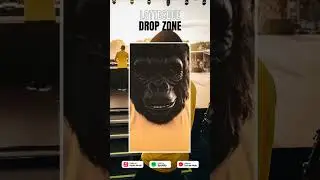 New Music - Drop Zone