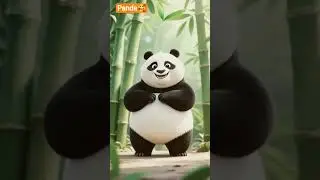CHUBBY PANDA 🥰