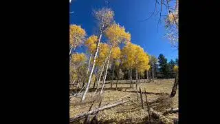 Pagosa Springs To Chromo And Back