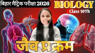 जैव प्रक्रम (Life Processes) – महत्वपूर्ण Subjective प्रश्न | कक्षा 10 जीव विज्ञान BSEB 2026