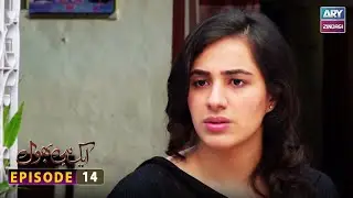 Aik hi bhool Episode 14 | ARY Zindagi