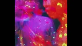 [FREE] Indie Rock Type Beat X Alternative - 