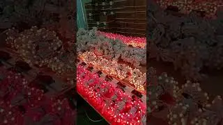 12mm RGB Pixel Lights, Good quality Factory direct sales price. WhatsApp/WeChat:86 13149362809