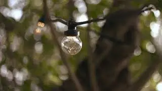 Pro Connect Warm White Connectable Festoon Lights Clear Cap Black Cable | Lights4fun