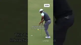 Hillarious interaction with Tiger Woods #golfmagic #fairwayfocus #golfswing