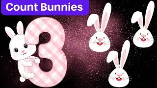 Count 123 bunnies 🐰 | learn & count numbers 1 to 10 for kids and toddlers | @Toddlers | fun math