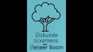 Examen 2025 tijdvak 1 Opgaven 9 t/m 13 (leerjaar 4 VMBO TL)