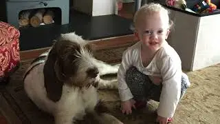 MONTI & POPPY MEMORIES 2014-2026 RIP