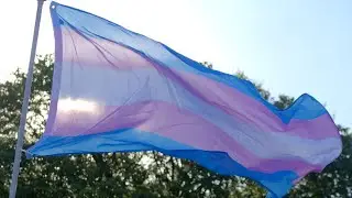 'Good luck in the Gaza': Douglas Murray slams transsexual scientist insulting Jews