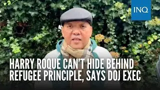 Harry Roque can&rsquo;t hide behind refugee principle, says DOJ exec