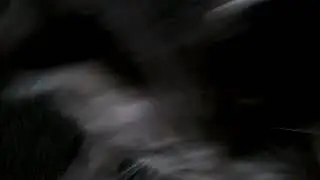 Xavier barber  1video