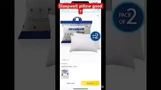 Sleep well pillow review
