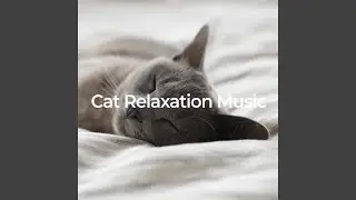 Feline Serenity (No Fade, Loopable)