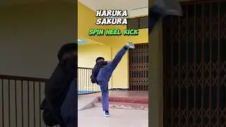 The Perfect Spin Kick - Haruka Sakura(Tutorial) #shorts