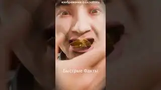 🥔 Ссора на кухне, которая изменила мир еды