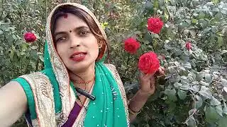 Meena शॉर्ट वीडियो वायरल वीडियो ट्रेंडिंग