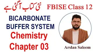 Buffer Solution in Blood System | Bicarbonate Buffer System |