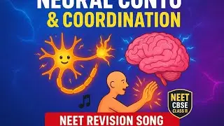 Neural Control & Coordination &ndash; NEET Class 11 | Animated Revision Song 🎧🧠 @PhysicsWallah