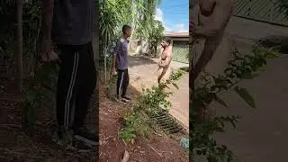 Homem ROUBA FERRO DO BUEIRO