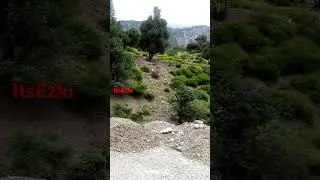 Nature Kalam swat 2022. green Kalam. River kalam swat 2022 #itsEzki #kalam waoonature