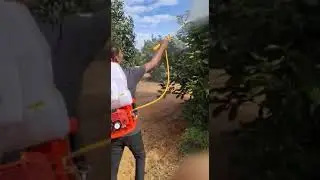 kISAN-SHAKTHI KNAPSACK POWER SPRAYERS 2 Stroke TU-26 and IE34F Engine