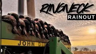 Ringneck Rainout | 6 MAN LIMIT Texas Duck Hunting