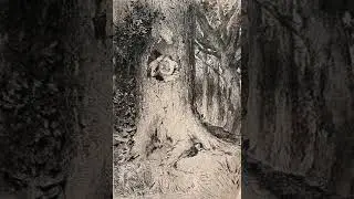 The Tree Song (Oak & Ash & Thorn)