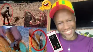 Appel thioune boutique Ak wadji Mo nekh sy gouy gui😂😂😀😀🤣🤣