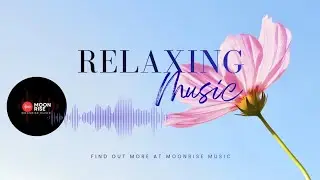 Origami | Jcott Buckly | Relaxing music shared with love from MOONRISE