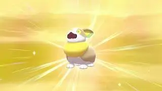 Shiny Yamper after ~900 eggs
