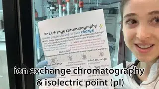 Ion exchange chromatography (IEX), pH, pKa and isoelectric point (pI) - cookie monster style!