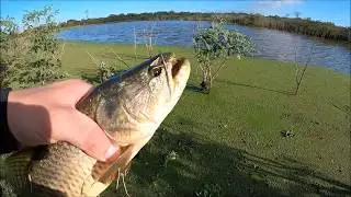 #pesca #artificiales #se&ntilde;uelos        PESCA CON ARTIFICIALES ELEN (Esperanza)
