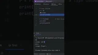 Type Casting in Python (integer to float)