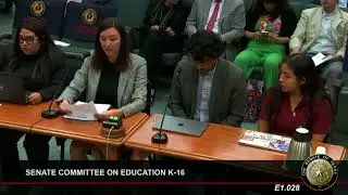 Trudy Taylor Smith, Sr. Administrator of Policy & Advocacy, Children&rsquo;s Defense Fund, testifies