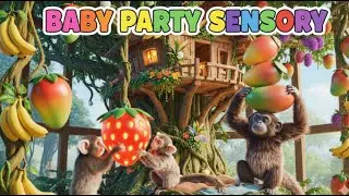 Sensory Videos For Babies Monkey -  Baby Sensory Videos Newborn for Babies Stimulation Video🐵🍉