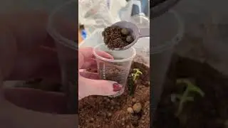 Читай описание к видео