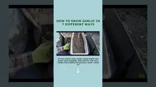 Grow Garlic at Home | Soil & Pot Methods (Easy Guide)