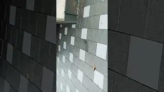 interlock polish/interlockpaint /interlock polish malayalam/interlock design /intetlock